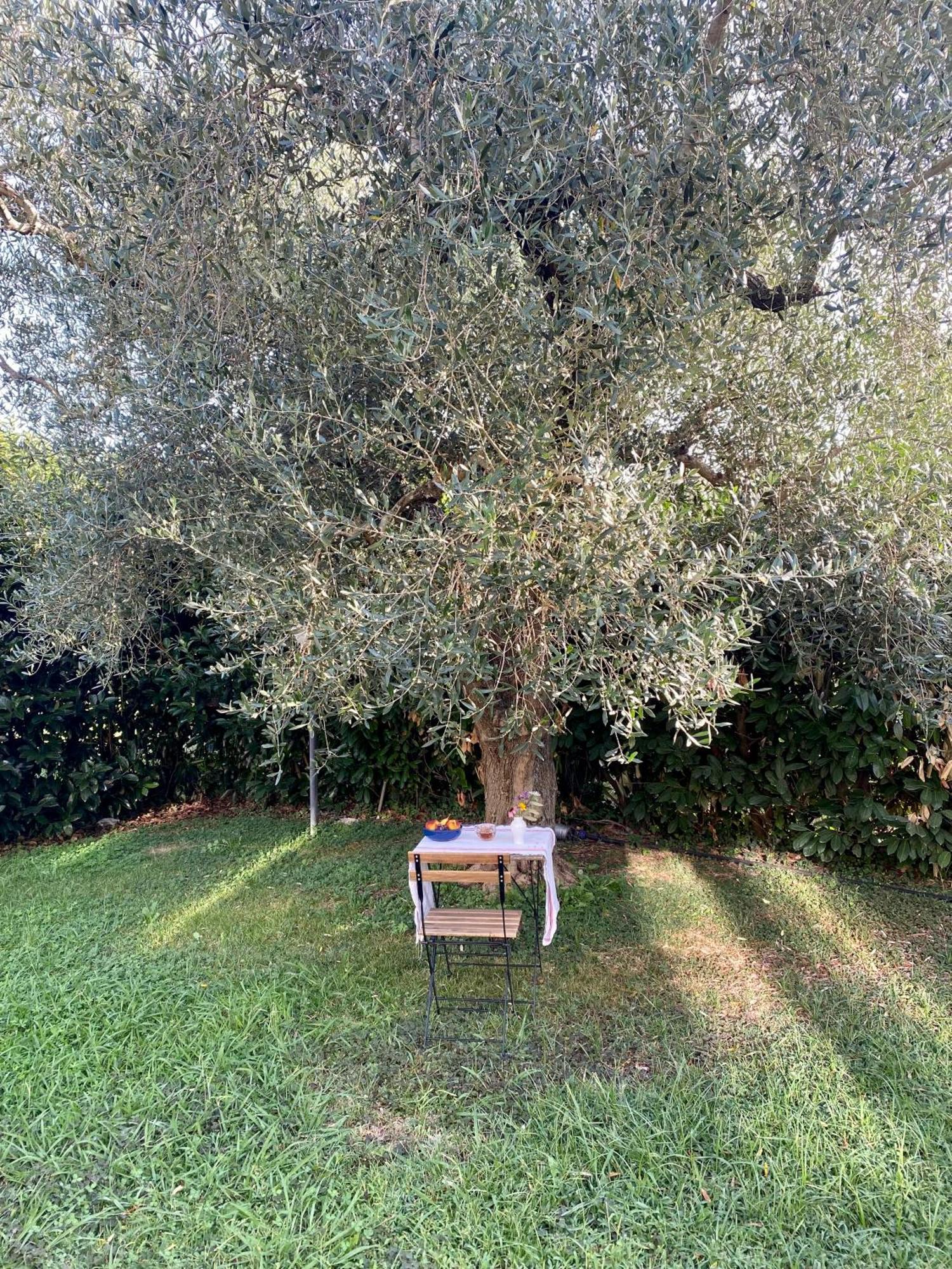 La Locanda Del Tevere Ф'яно-Романо Екстер'єр фото