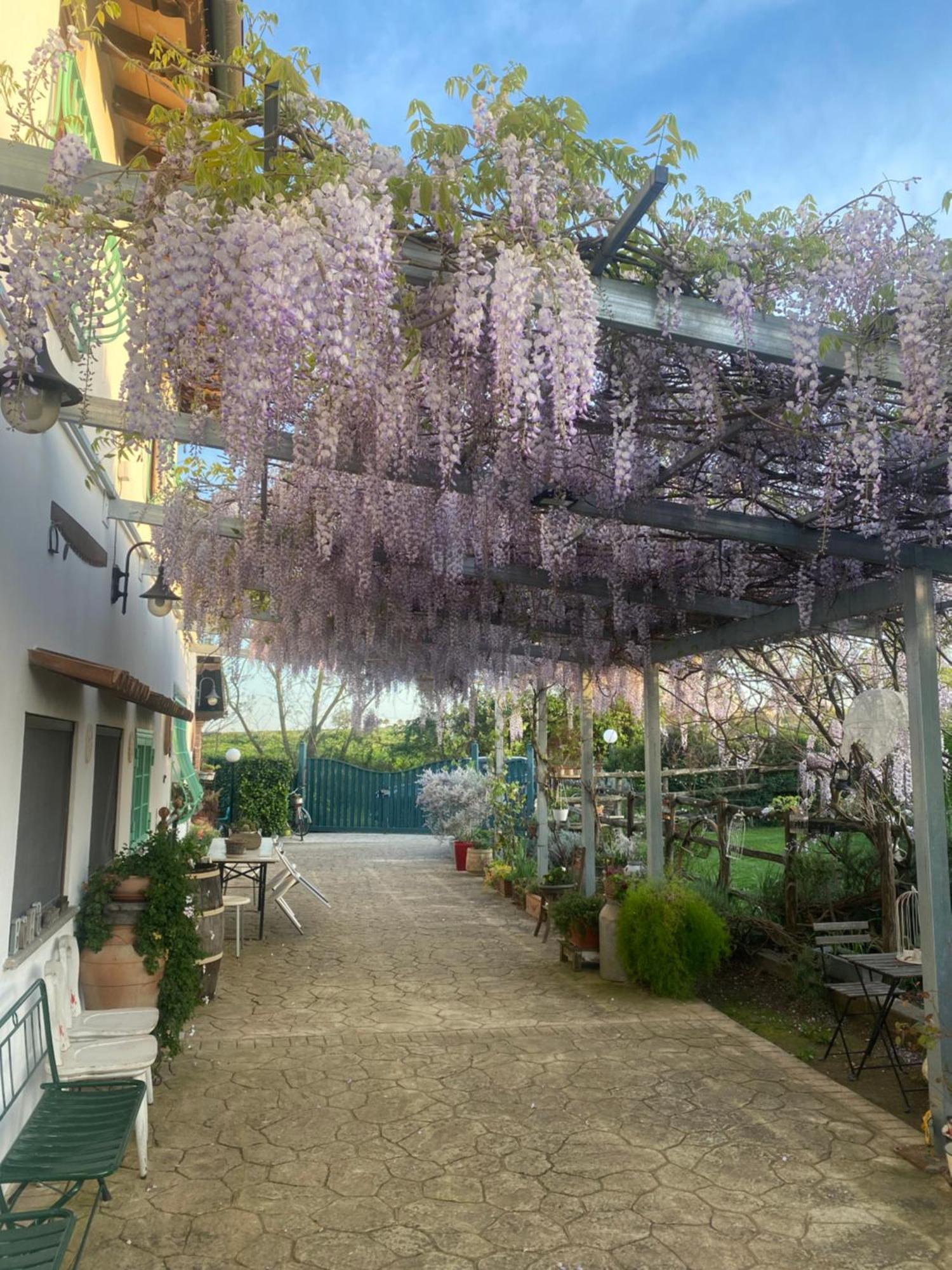 La Locanda Del Tevere Ф'яно-Романо Екстер'єр фото