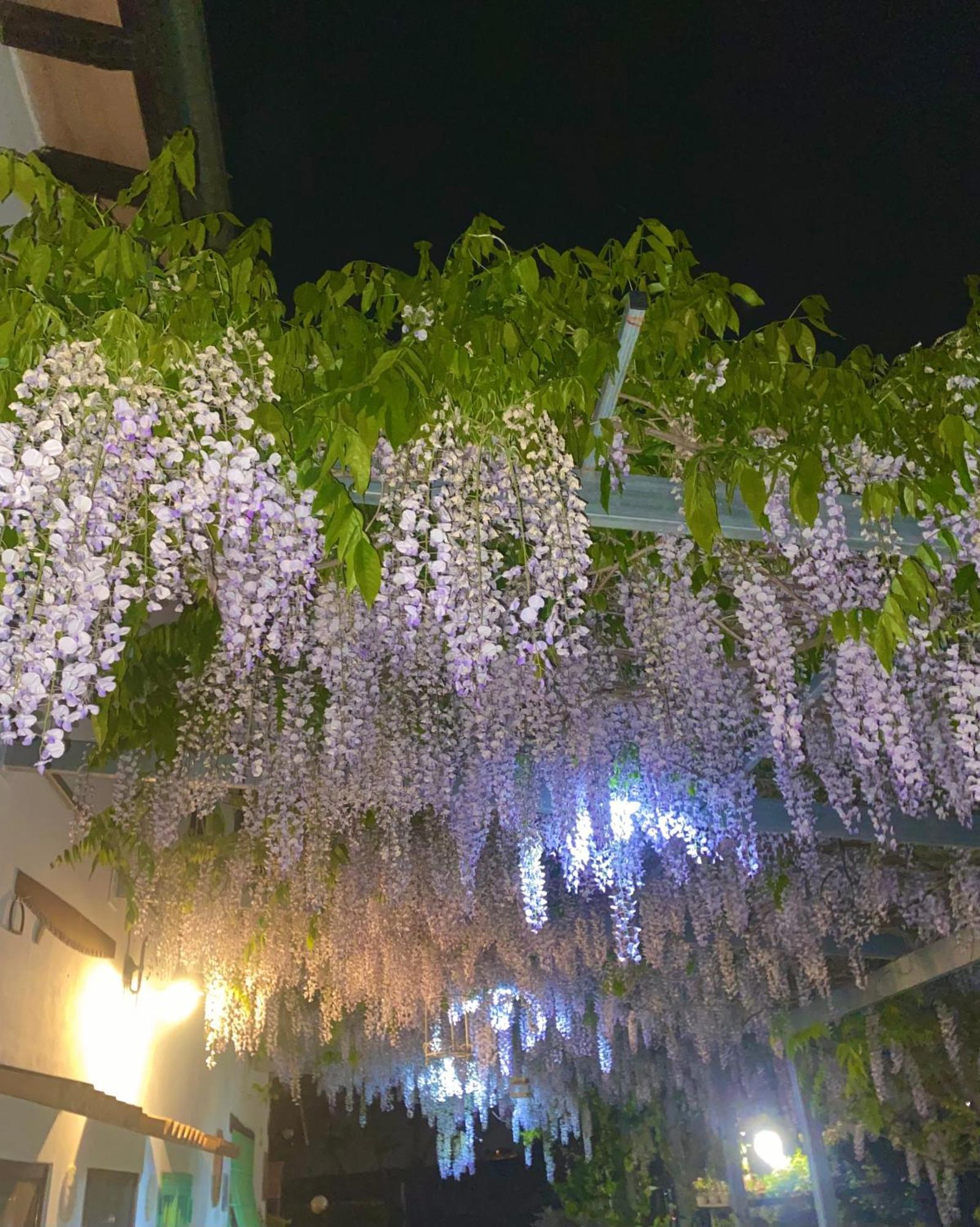 La Locanda Del Tevere Ф'яно-Романо Екстер'єр фото